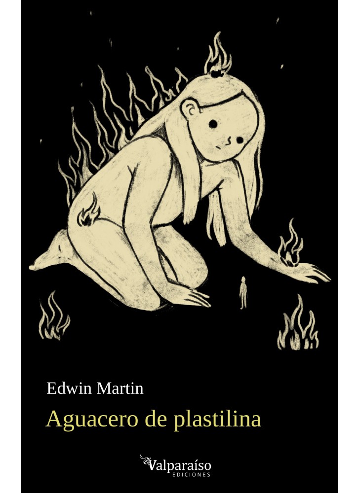 Libro, Aguacero de Plastilina. Valparaiso Ediciones Ediciones 